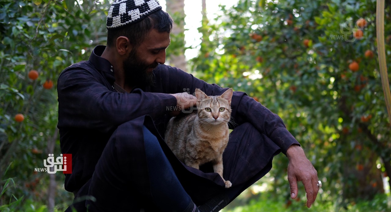 شغف العوائل البغدادية يحوّل مساحات مهجورة إلى مشاريع استثمارية نابضة بالحياة