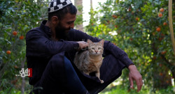 Leisure farm rentals reshape Baghdad’s lifestyle