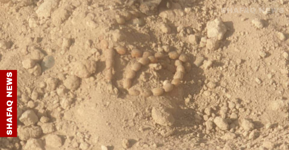 Mass grave Yazidi victims uncovered in Sinjar