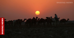 Decades-long drought dries up Iraqi villages