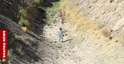Drought pushes Iraq’s marshland communities into exodus
