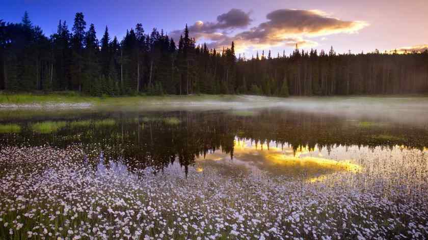 دوو پارچە شیعر