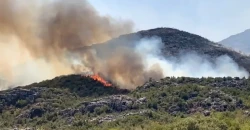 Wildfires in Syria’s west spread to homes, injure firefighters