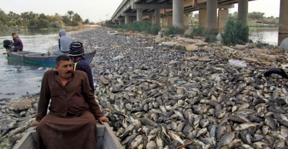 مناشدة عبر شفق نيوز: حملات اعتقال تطال مربي الأسماك في 3 محافظات