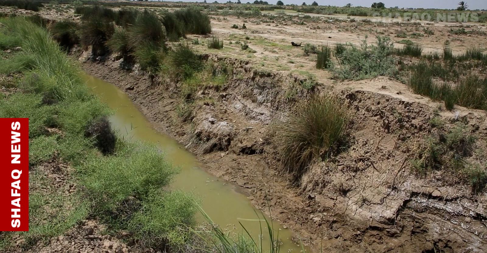 Iraq’s southern drought: Policy paralysis and upstream pressures deepen rural collapse