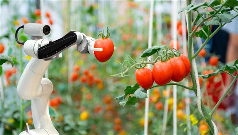 چین یەکەم رۆبۆت ئەرا کەرت کشاوەرزی دروسکرد