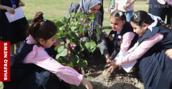 بغداد تطلق أكبر حملة بيئية عبر زراعة آلاف الأشجار (صور)