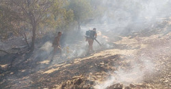 1K trees destroyed: Wildfire hits Kurdistan’s al-Sulaymaniyah