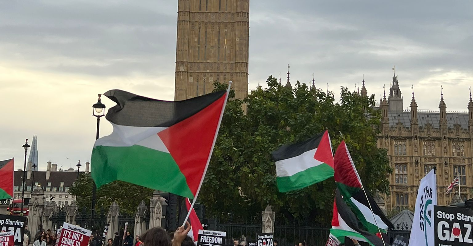 Global protests erupt over Israel’s seizure of Gaza aid Flotilla