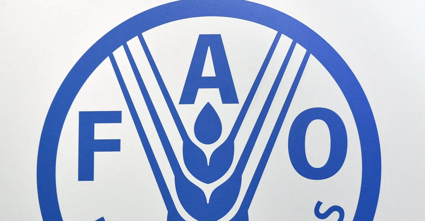 FAO Food Price Index eases in September