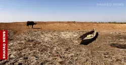 Drought empties Umm al-Tus River in southern Iraq