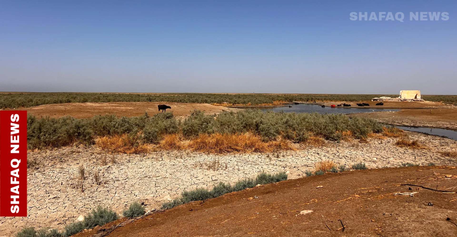 Where Mesopotamia once flowed: The dying rivers of southern Iraq