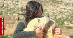 حلم طفلة يتحول إلى ملاذ آمن للحيوانات السائبة في دهوك (صور)