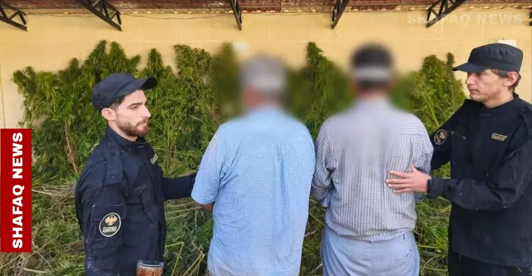 Syria raids cannabis farm as expert urges “real” security alliance