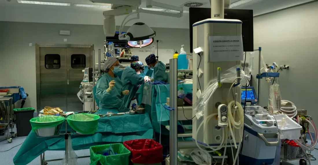 الصين تحقق أول تجربة ناجحة لزراعة كبد خنزير في إنسان حي