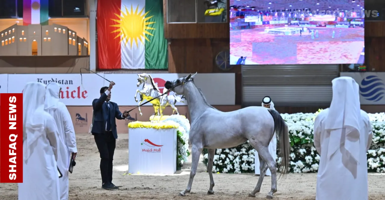Erbil sets stage to end international ban on Iraqi horses