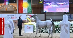Erbil sets stage to end international ban on Iraqi horses