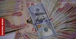 CBI: Domestic debt reaches $69B