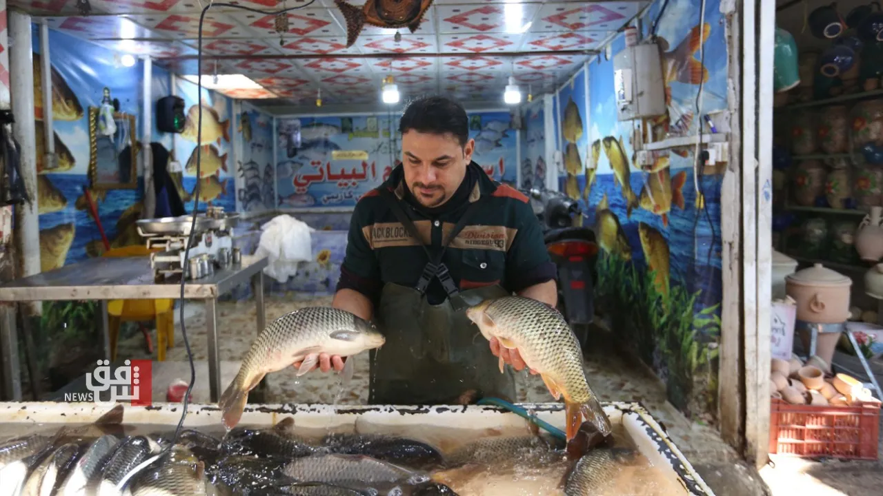 "الهربس" يضرب أسماك الأنبار والمربون يحدون من مخاطره