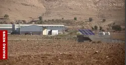 نينوى.. استنفار بعد نفوق 20 ألف دجاجة بإنفلونزا الطيور