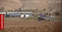 Avian flu kills thousands of chickens in Iraq