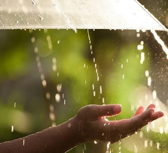 ‏کەشناسیگ مەزەنەی واران خاسیگ ئەرا مانگ 12ی ئمساڵ کەێد