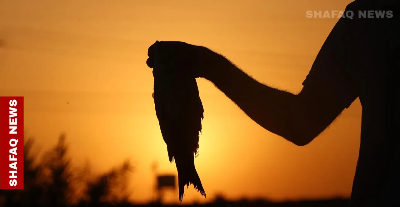 Mass fish deaths threaten Iraq’s Karbala livelihoods