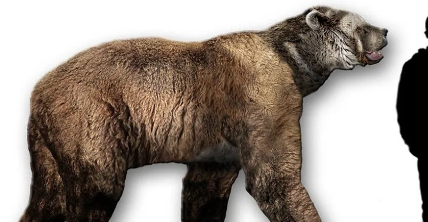 عاشت قبل 6 ملايين عام.. اكتشاف نوع جديد من الدببة العملاقة