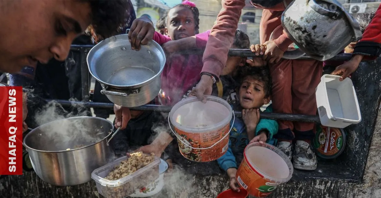 Tomato prices in Gaza soar as farmland lies in ruins