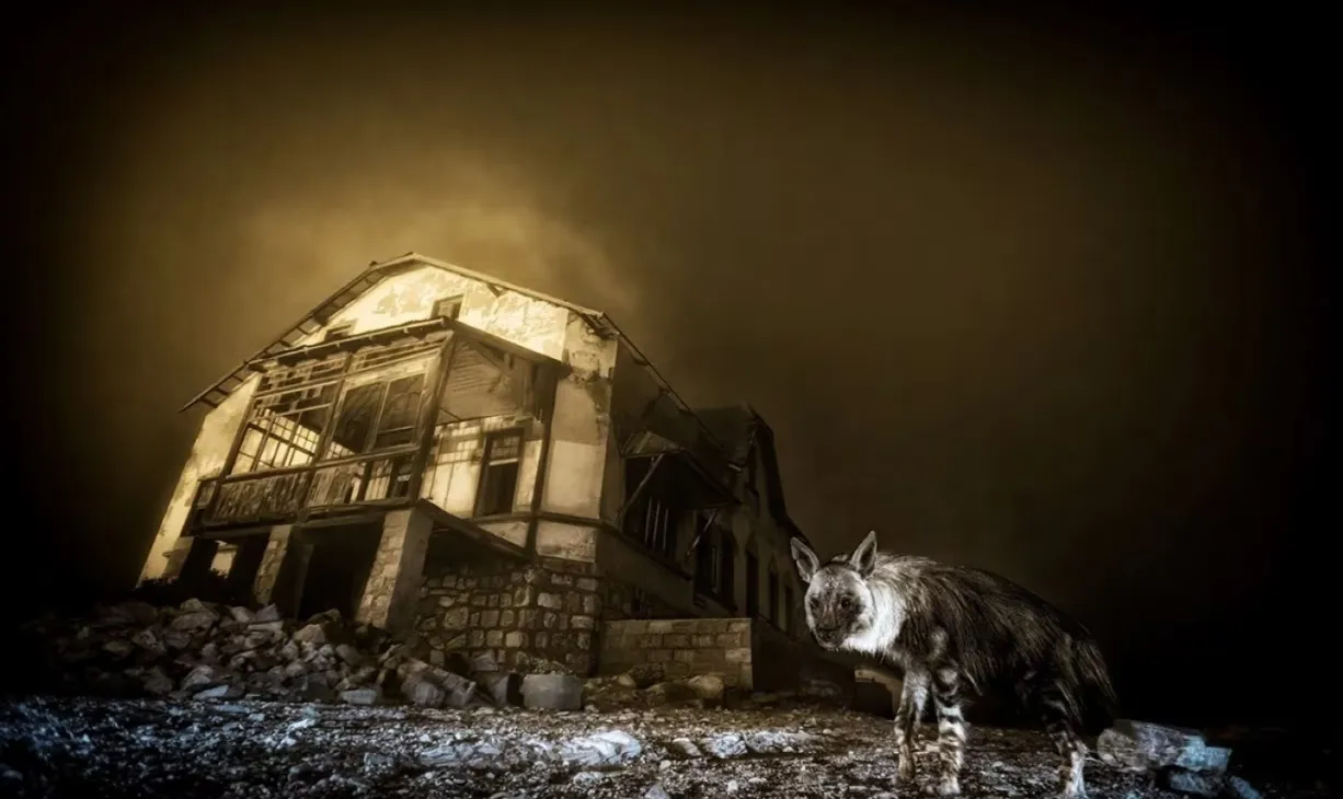 "سەردانکەر ئاوای فریشتەیل".. ئاشکراکردن ئەو وینە کە بویە خاوەن خەڵات وینەگر ژیان هشکایی 2025