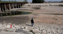 Desertification renders 60% of Iraq's soil unusable