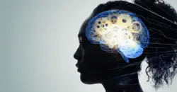 علماء يابانيون يكتشفون سر الذاكرة الطويلة