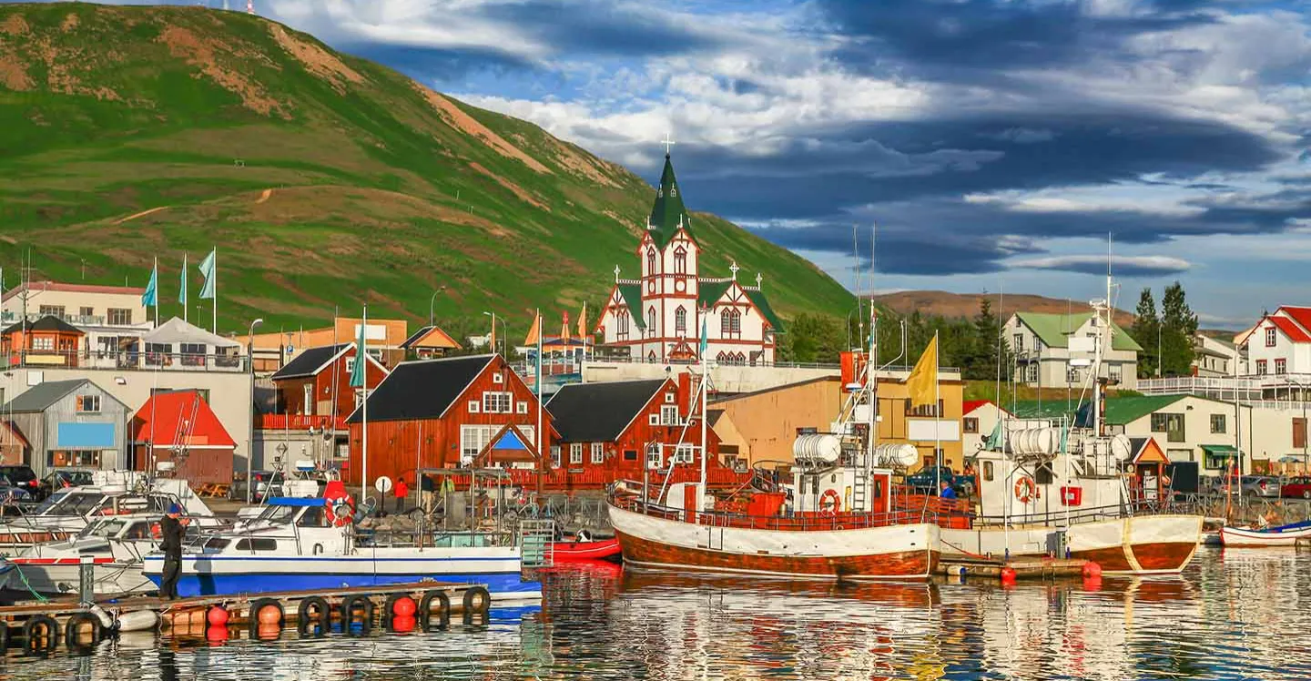 الاحتباس الحراري يغيّر علاقة آيسلندا بالبعوض