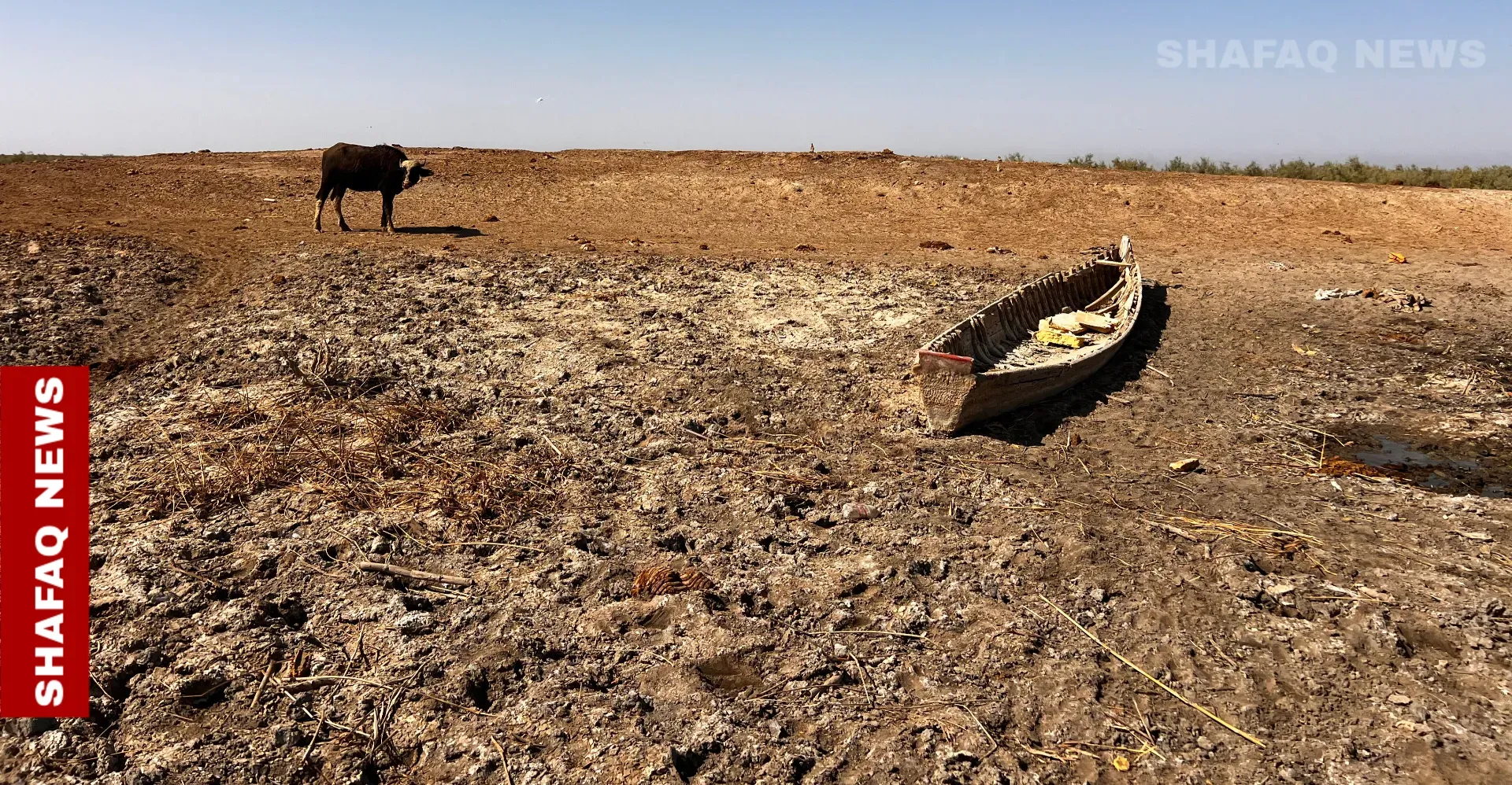 Iraq: Maysan farmers struggle to survive as drought worsens