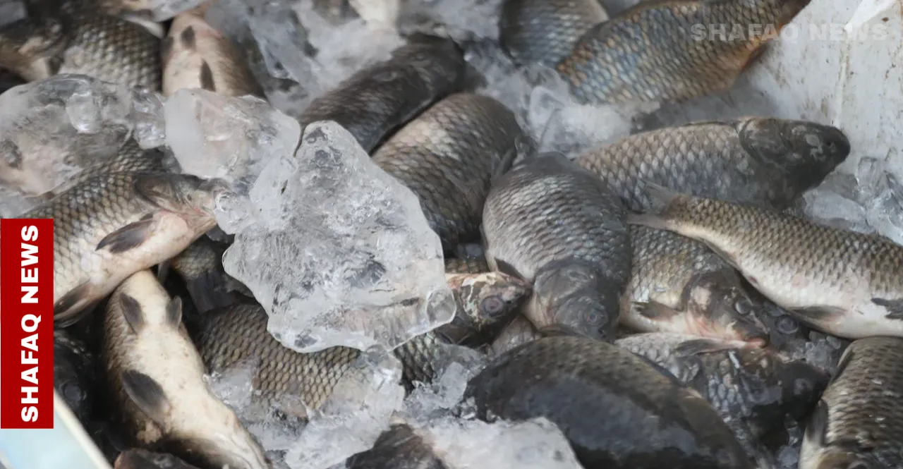 العراق من أبرز أسواق تركيا في تصدير المنتجات الغذائية والبروتينية