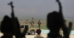 المرصد السوري: 900 شجرة زيتون تعرضت للنهب في عفرين