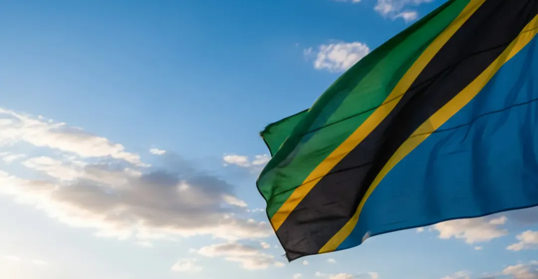 Dozens killed, injured in Tanzania after disputed election