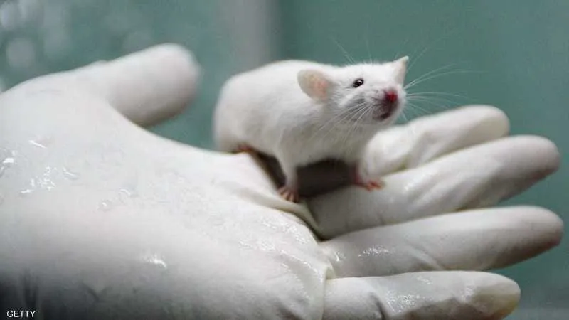 ‏چوار مویش زەوی وەجیهیلن ئەرا چووڵایی ئاسمان