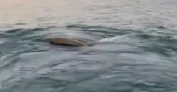 Iraq’s receding Tigris uncovers Ottoman warship, water crisis