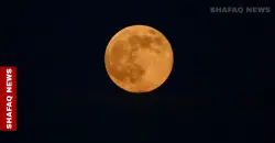 "قمر القندس العملاق" يلقي بضوء ذهبي في سماء العراق (صور)