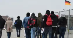 إحصائية جديدة لأعداد اللاجئين السوريين الوافدين إلى ألمانيا