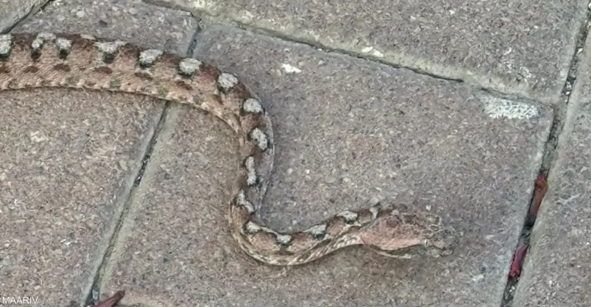 مدينة إسرائيلية تعيش "فيلم رعب"