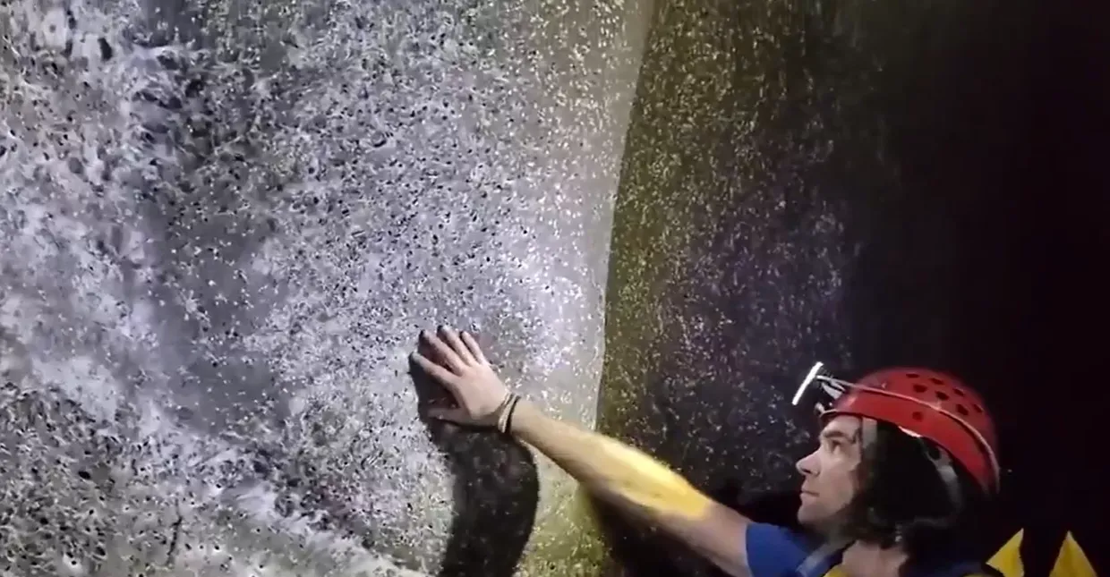 العثور على أكبر شبكة عنكبوت في العالم