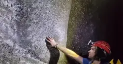 العثور على أكبر شبكة عنكبوت في العالم