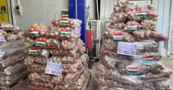 إقليم كوردستان يصدر 100 طن بطاطس إلى الإمارات كمرحلة أولى