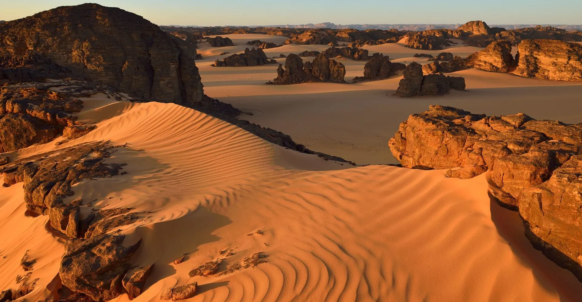 تغير المناخ قد يحول الصحراء الكبرى إلى منطقة خضراء بحلول 2100