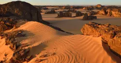 تغير المناخ قد يحول الصحراء الكبرى إلى منطقة خضراء بحلول 2100