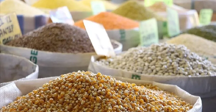 Iraq leads Turkiye’s agri-trade with +$1B in imports