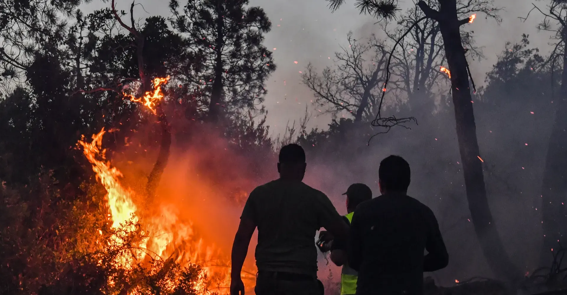 الجزائر.. إجلاء عائلات و300 رجل إطفاء لاخماد حرائق غابات