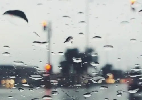 ‏واران هەرێم کوردستان گرێدەو هاتێ لەناوچە کویەیل سنووری کەمیگ وەفر بوارێد